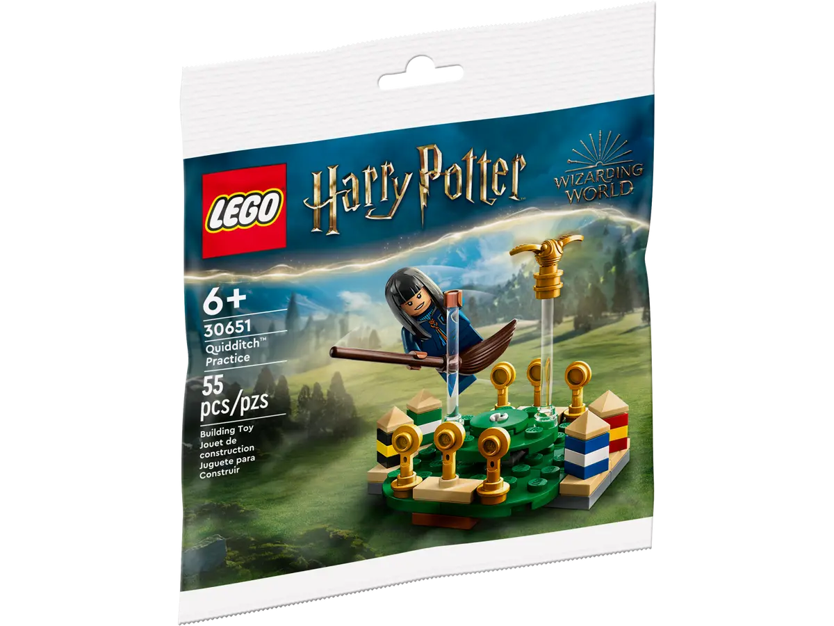 LEGO Harry Potter 30651 Quidditch Practice