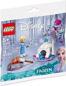 LEGO Disney 30559 Elsa and Bruni's Forest Camp